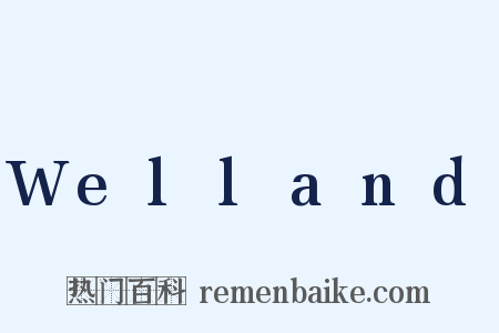Welland是什么意思的图片